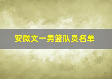 安微文一男篮队员名单