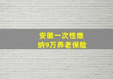 安徽一次性缴纳9万养老保险