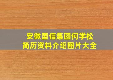 安徽国信集团何学松简历资料介绍图片大全