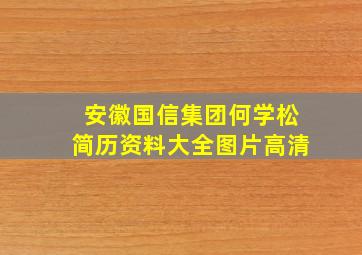 安徽国信集团何学松简历资料大全图片高清