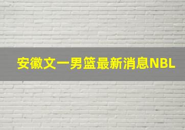 安徽文一男篮最新消息NBL