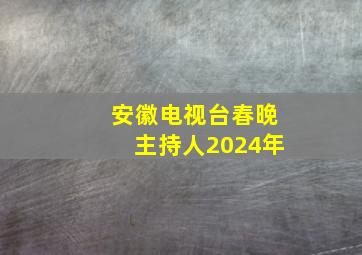 安徽电视台春晚主持人2024年