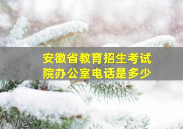 安徽省教育招生考试院办公室电话是多少