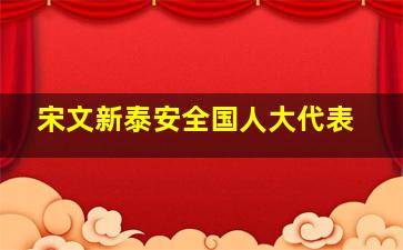 宋文新泰安全国人大代表