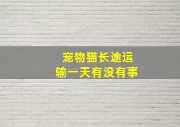 宠物猫长途运输一天有没有事