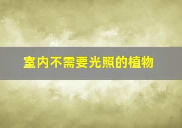 室内不需要光照的植物