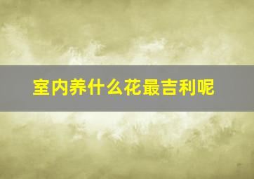 室内养什么花最吉利呢