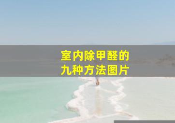 室内除甲醛的九种方法图片