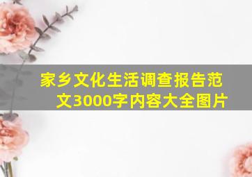 家乡文化生活调查报告范文3000字内容大全图片