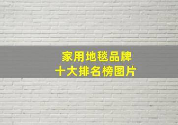 家用地毯品牌十大排名榜图片