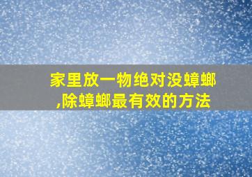 家里放一物绝对没蟑螂,除蟑螂最有效的方法