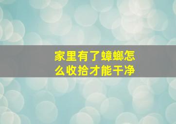 家里有了蟑螂怎么收拾才能干净