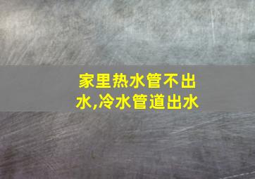 家里热水管不出水,冷水管道出水