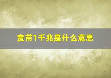 宽带1千兆是什么意思