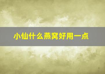 小仙什么燕窝好用一点