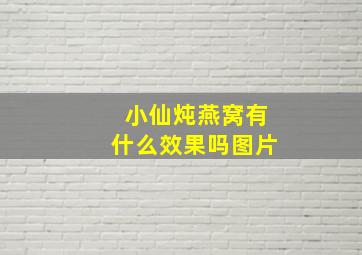 小仙炖燕窝有什么效果吗图片