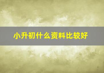 小升初什么资料比较好