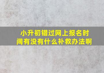 小升初错过网上报名时间有没有什么补救办法啊