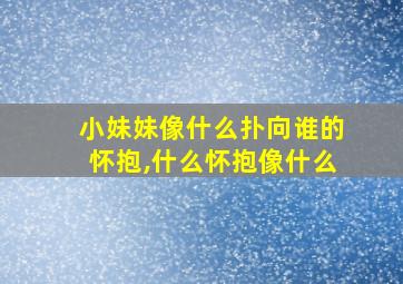 小妹妹像什么扑向谁的怀抱,什么怀抱像什么