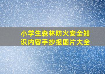 小学生森林防火安全知识内容手抄报图片大全