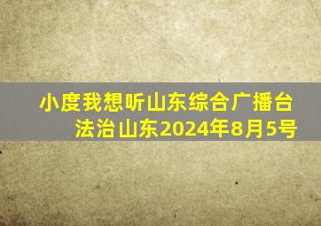 小度我想听山东综合广播台法治山东2024年8月5号