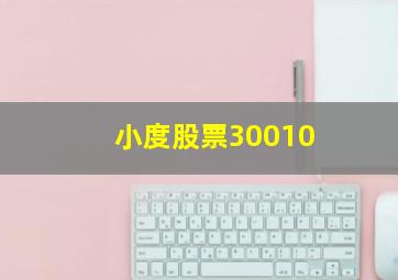 小度股票30010