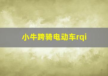 小牛跨骑电动车rqi