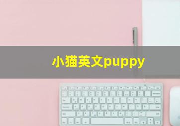 小猫英文puppy