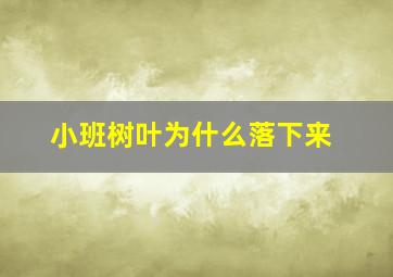 小班树叶为什么落下来