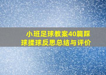 小班足球教案40篇踩球揉球反思总结与评价