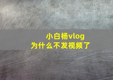 小白杨vlog为什么不发视频了