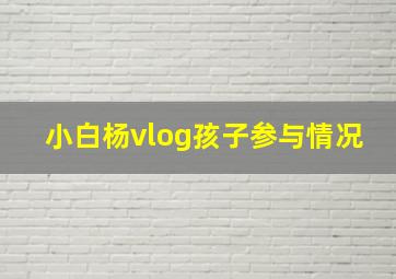 小白杨vlog孩子参与情况