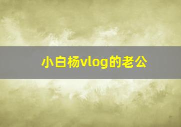 小白杨vlog的老公