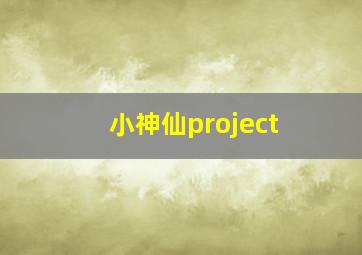 小神仙project