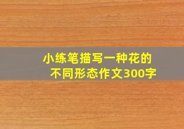 小练笔描写一种花的不同形态作文300字