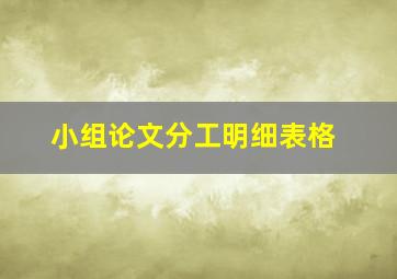 小组论文分工明细表格