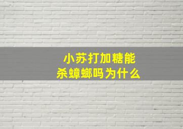 小苏打加糖能杀蟑螂吗为什么