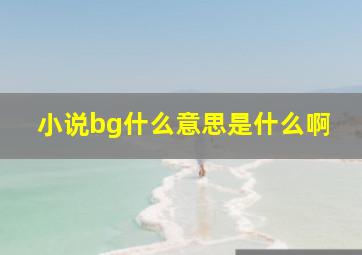 小说bg什么意思是什么啊