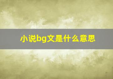 小说bg文是什么意思