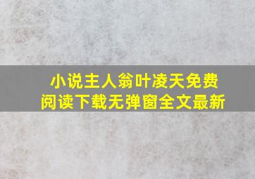 小说主人翁叶凌天免费阅读下载无弹窗全文最新