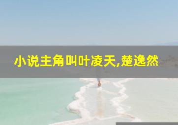 小说主角叫叶凌天,楚逸然