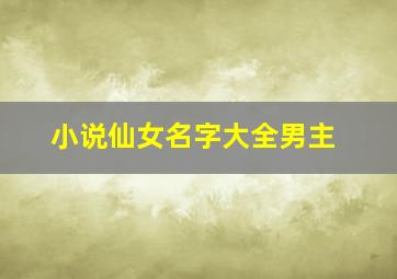 小说仙女名字大全男主