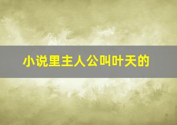 小说里主人公叫叶天的