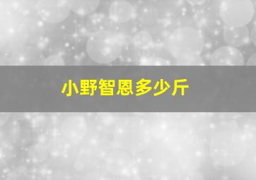 小野智恩多少斤