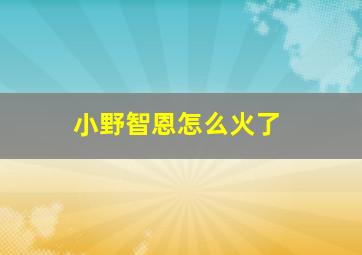 小野智恩怎么火了