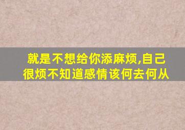 就是不想给你添麻烦,自己很烦不知道感情该何去何从