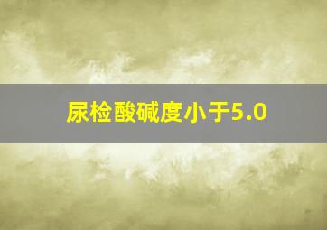 尿检酸碱度小于5.0