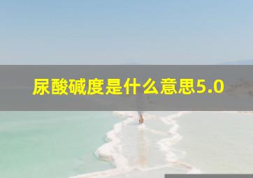 尿酸碱度是什么意思5.0