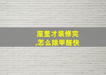 屋里才装修完,怎么除甲醛快