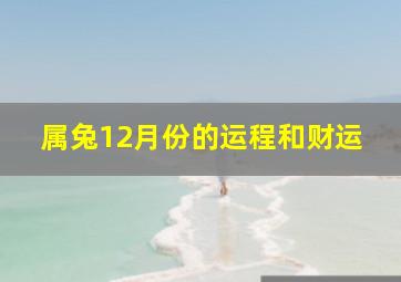 属兔12月份的运程和财运